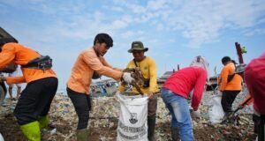 Aksi Bersih Pantai, Warga Teluk Pandeglang Angkat 102 Ton Sampah
