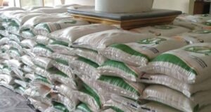 Pemerintah Bebaskan PPN 12 Persen Untuk Beras Premium Lokal