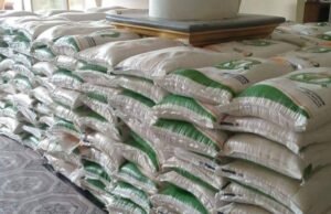 Pemerintah Bebaskan PPN 12 Persen Untuk Beras Premium Lokal