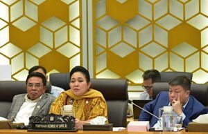 Desak Kemenhut Hentikan Izin Pembukaan Hutan untuk Cegah Banjir Sumatera