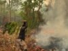 Karhutla Bukan Hanya Soal Asap Asap mengepul dari lahan yang terbakar di Desa Sutra, Sukadana, Kayong Utara, Kalimantan Barat