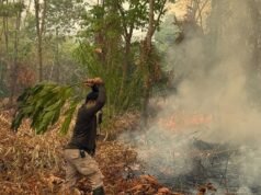 Karhutla Bukan Hanya Soal Asap Asap mengepul dari lahan yang terbakar di Desa Sutra, Sukadana, Kayong Utara, Kalimantan Barat