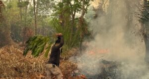 Karhutla Bukan Hanya Soal Asap Asap mengepul dari lahan yang terbakar di Desa Sutra, Sukadana, Kayong Utara, Kalimantan Barat