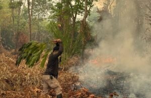 Karhutla Bukan Hanya Soal Asap Asap mengepul dari lahan yang terbakar di Desa Sutra, Sukadana, Kayong Utara, Kalimantan Barat